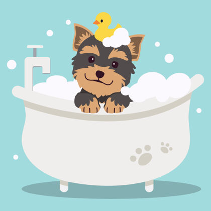 肥皂角色可爱的约克郡猎犬洗澡浴缸保健鸭子泡泡狗