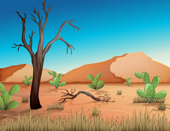 沙漠沙漠里有沙山和仙人掌景观在白天的景色西部卡通植物