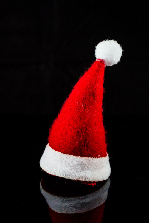 毛皮孤立的传统圣诞帽肖像圣诞老人舞会