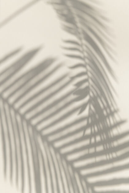 热带棕榈叶影设计元素植物叶叶