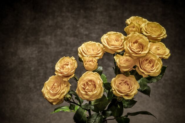 束灰色背景上有一束美丽的黄玫瑰叶植物开花