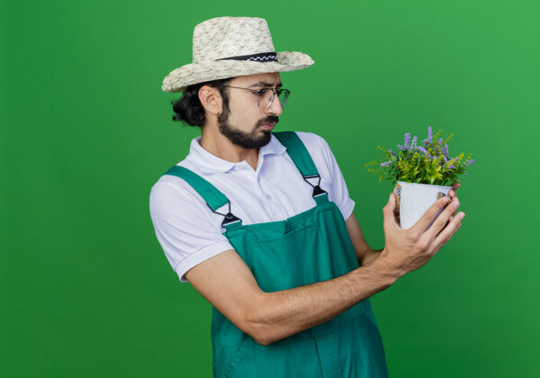 园丁年轻的留着胡子的园丁 穿着连体衣 戴着帽子 手里拿着盆栽植物 严肃地看着它穿着严肃连身衣