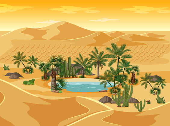 沙滩沙漠绿洲棕榈自然景观一景沙丘湖泊棕榈
