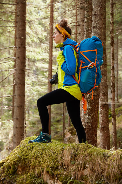 森林完整的长度拍摄的运动女远足者在良好的身体形态 站在山上对森林中的树木冒险自然夹克